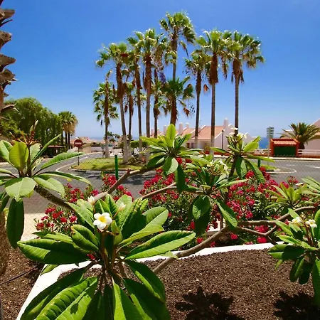 Alamo Park * Σαν Μιγκέλ ντε Αμπόνα